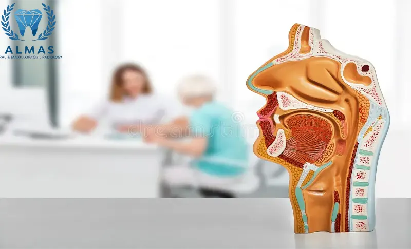 فتوگرافی بینی با بیمه بانک ملی