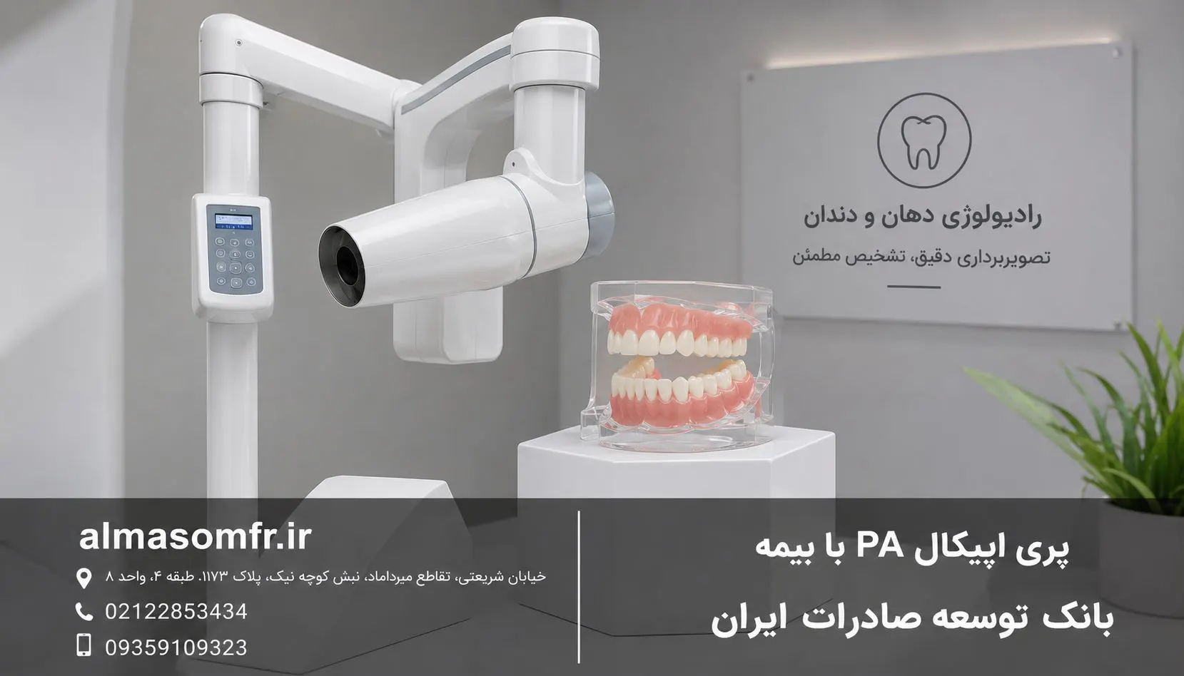 پری اپیکال PA با بیمه بانک توسعه صادرات ایران